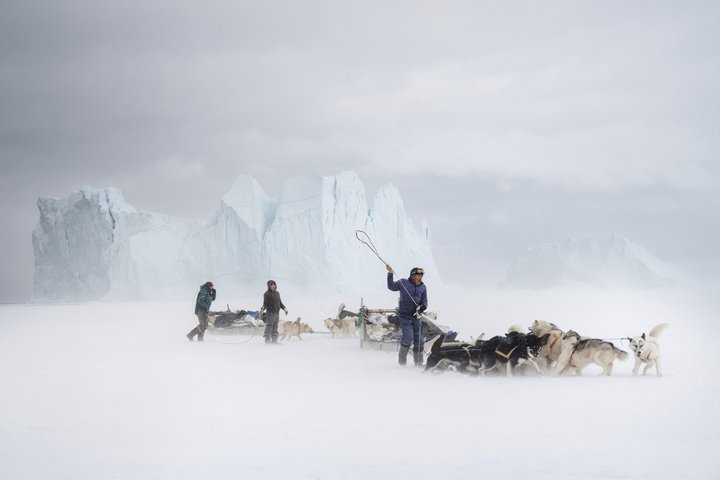 Packeis und Musher in Grönland, Copyright Markus Bühler Packeis und Musher in Grönland